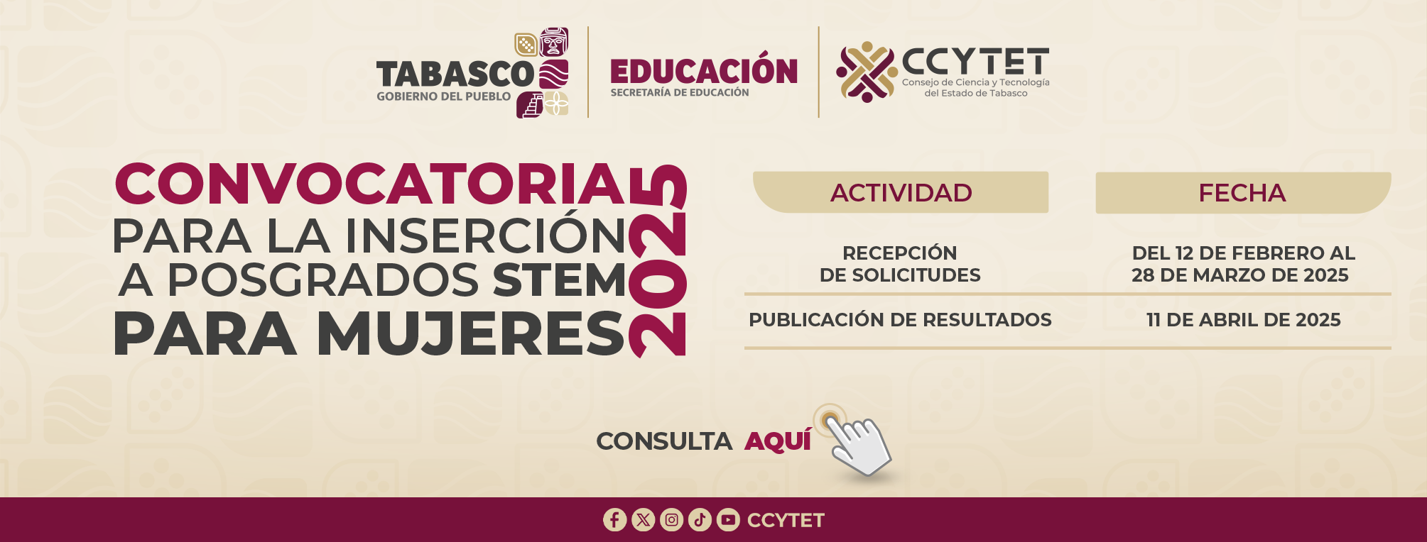 Convocatoria STEM 2025